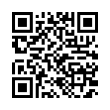 QR Code (код быстрого отклика)