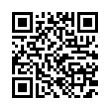 QR Code (код быстрого отклика)