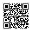 QR Code (код быстрого отклика)