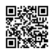 QR Code (код быстрого отклика)