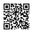 QR Code (код быстрого отклика)