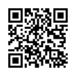 QR Code (код быстрого отклика)