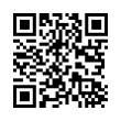 QR Code (код быстрого отклика)