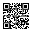 QR Code (код быстрого отклика)