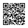 QR Code (код быстрого отклика)