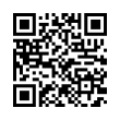 QR Code (код быстрого отклика)