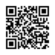 QR Code (код быстрого отклика)