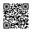 QR Code (код быстрого отклика)