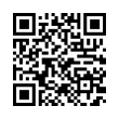 Código QR (código de barras bidimensional)