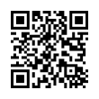 QR Code (код быстрого отклика)