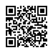 QR Code (код быстрого отклика)