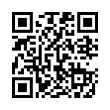 QR Code (код быстрого отклика)