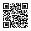 QR Code (код быстрого отклика)