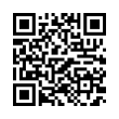 QR Code (код быстрого отклика)