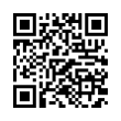 QR Code (код быстрого отклика)