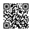 QR Code (код быстрого отклика)