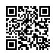 QR Code (код быстрого отклика)