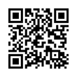 QR Code (код быстрого отклика)