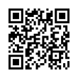 QR Code (код быстрого отклика)