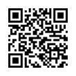 QR Code (код быстрого отклика)