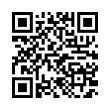 QR Code (код быстрого отклика)