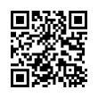 QR Code (код быстрого отклика)