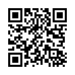 QR Code (код быстрого отклика)