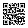 QR Code (код быстрого отклика)