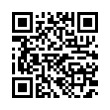 QR Code (код быстрого отклика)