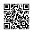 QR Code (код быстрого отклика)