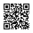 QR Code (код быстрого отклика)