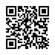 QR Code (код быстрого отклика)