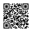 QR Code (код быстрого отклика)