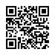 QR Code (код быстрого отклика)