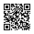 QR Code (код быстрого отклика)