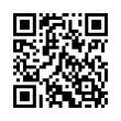 QR Code (код быстрого отклика)