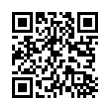 QR Code (код быстрого отклика)