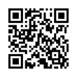 QR Code (код быстрого отклика)