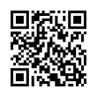 QR Code (код быстрого отклика)