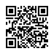 QR Code (код быстрого отклика)