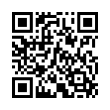 QR Code (код быстрого отклика)