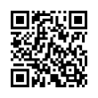 QR Code (код быстрого отклика)