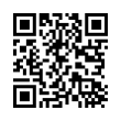 QR Code (код быстрого отклика)