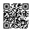 QR Code (код быстрого отклика)