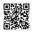 QR Code (код быстрого отклика)