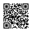 QR Code (код быстрого отклика)