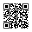 QR Code (код быстрого отклика)
