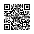 QR Code (код быстрого отклика)