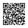 QR Code (код быстрого отклика)