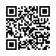 QR Code (код быстрого отклика)